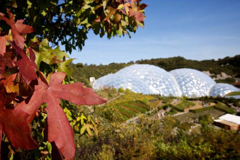 Eden Project Autumn