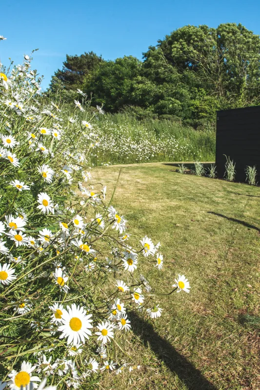 Stunning wildflowers during certain times of the year