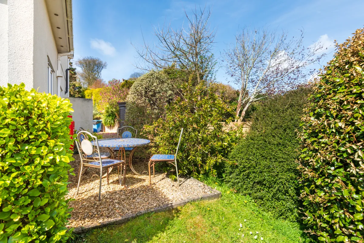 Another view in the garden