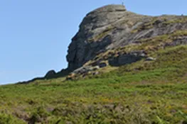 The dramatic scenery of Dartmoor is just forty minutes away and great for a day exploring.
