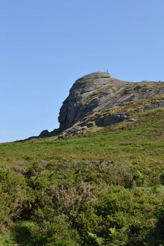 The dramatic scenery of Dartmoor is just forty minutes away and great for a day exploring.