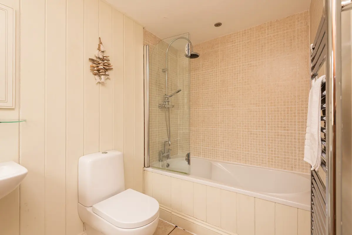 The ground floor bathroom